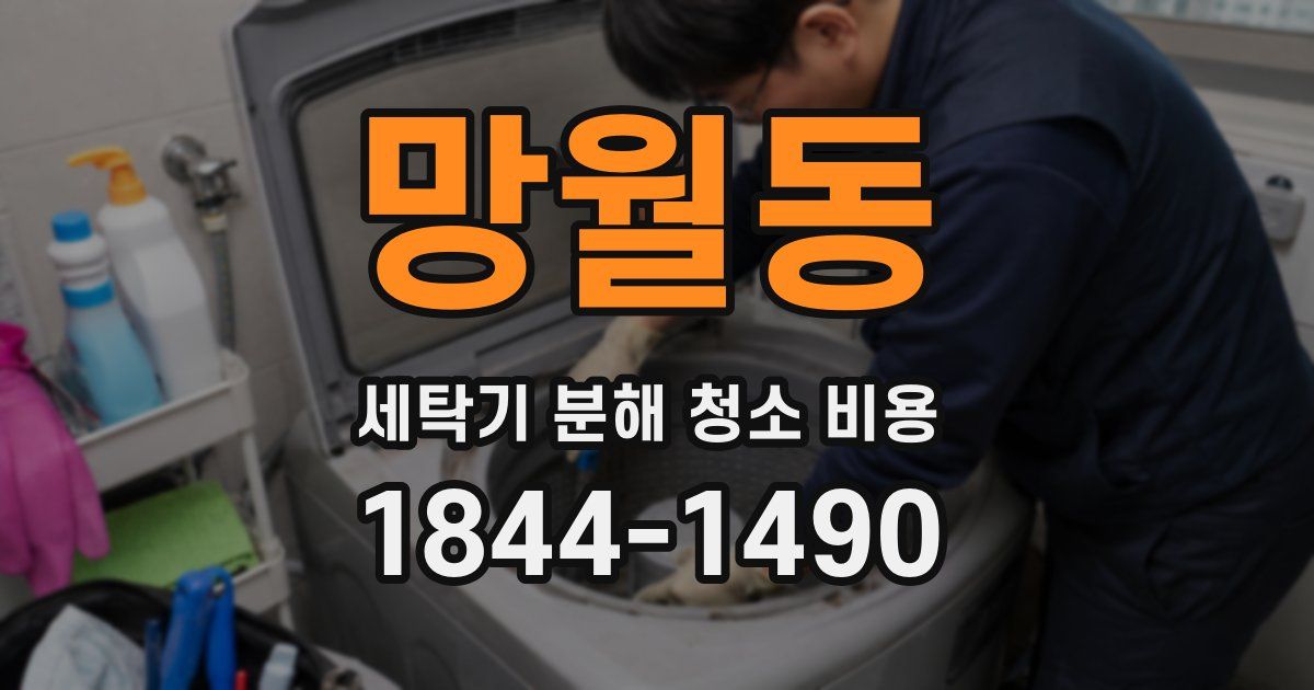 망월동 세탁기 분해 청소 비용