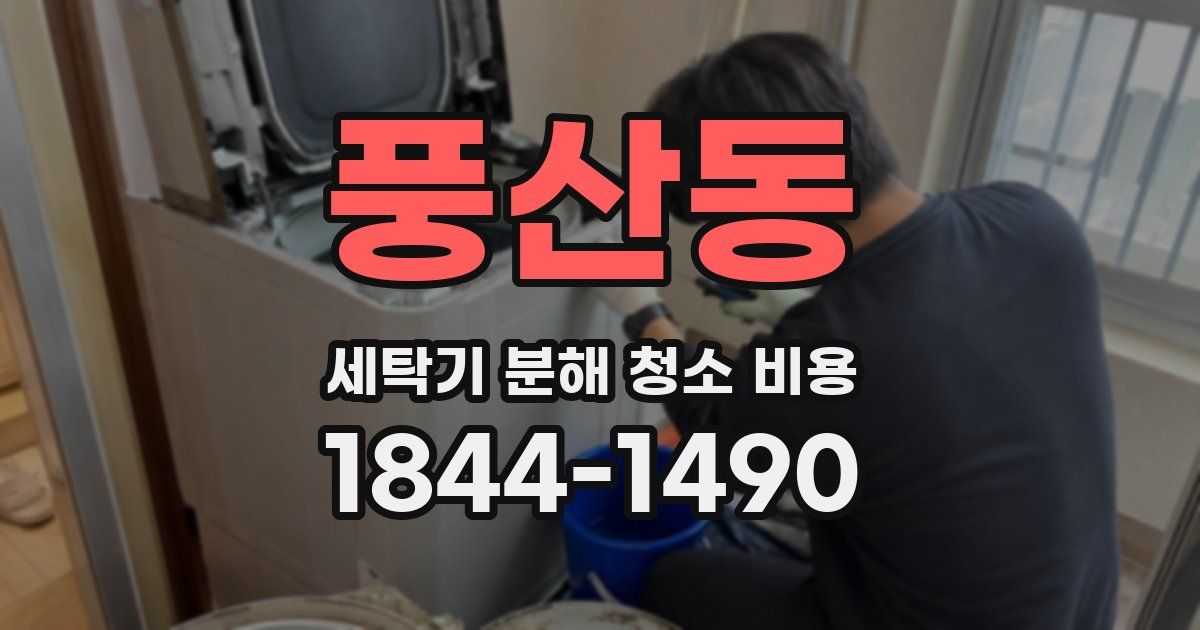 풍산동 세탁기 분해 청소 비용