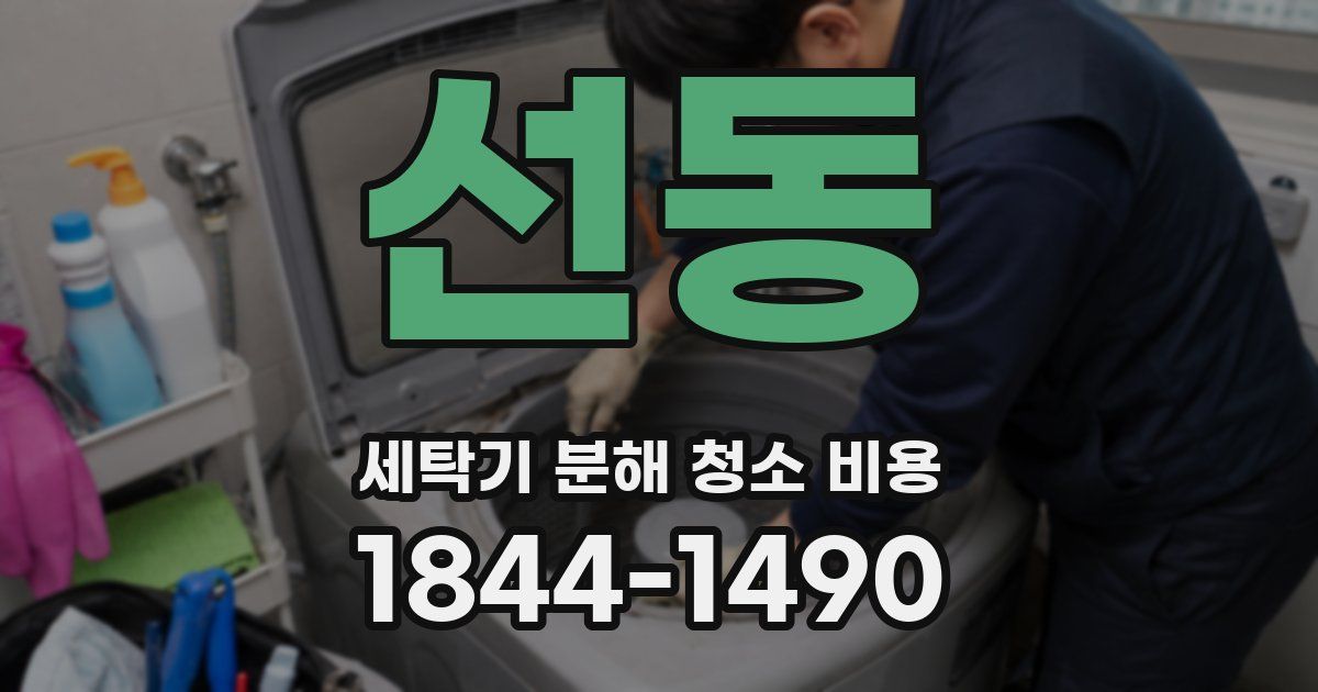 선동 세탁기 분해 청소 비용