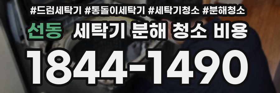 선동 세탁기 분해 청소 비용