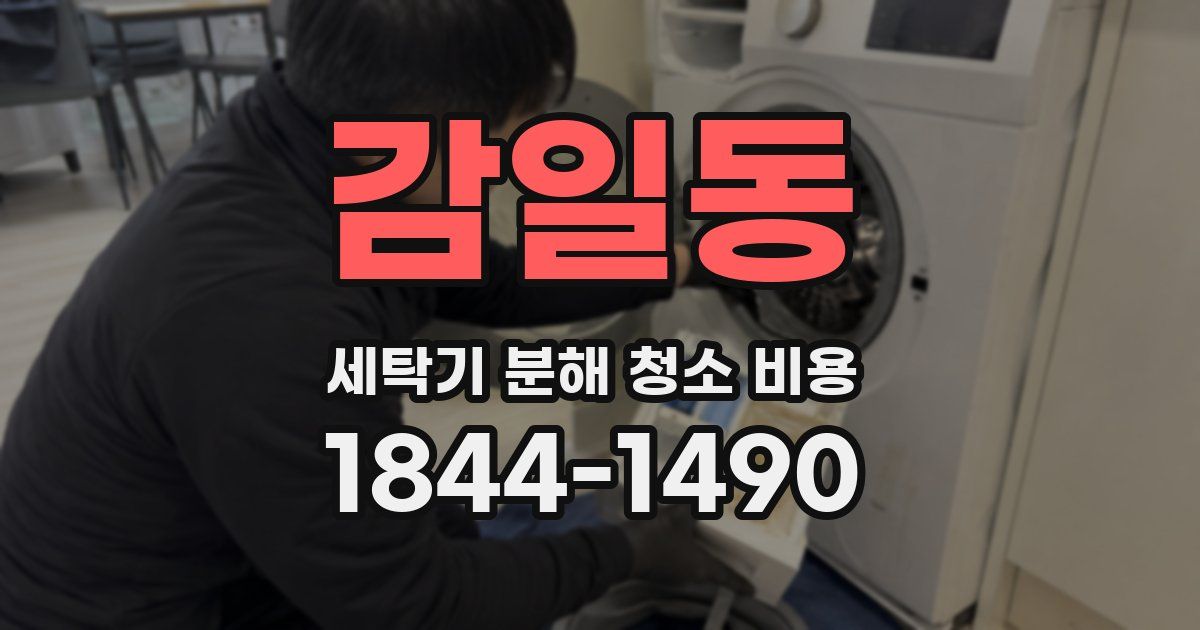 감일동 세탁기 분해 청소 비용