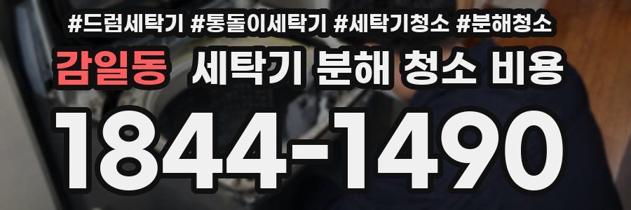 감일동 세탁기 분해 청소 비용