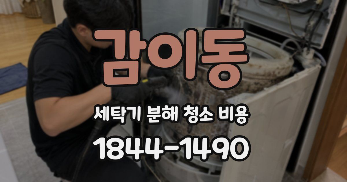 감이동 세탁기 분해 청소 비용