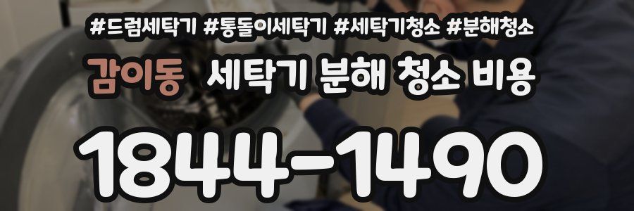 감이동 세탁기 분해 청소 비용