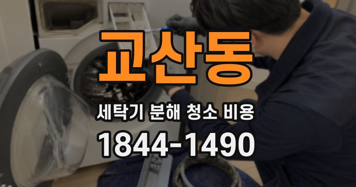 교산동 세탁기 분해 청소 비용