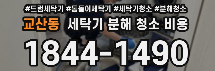 교산동 세탁기 분해 청소 비용
