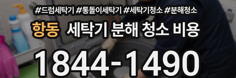 항동 세탁기 분해 청소 비용