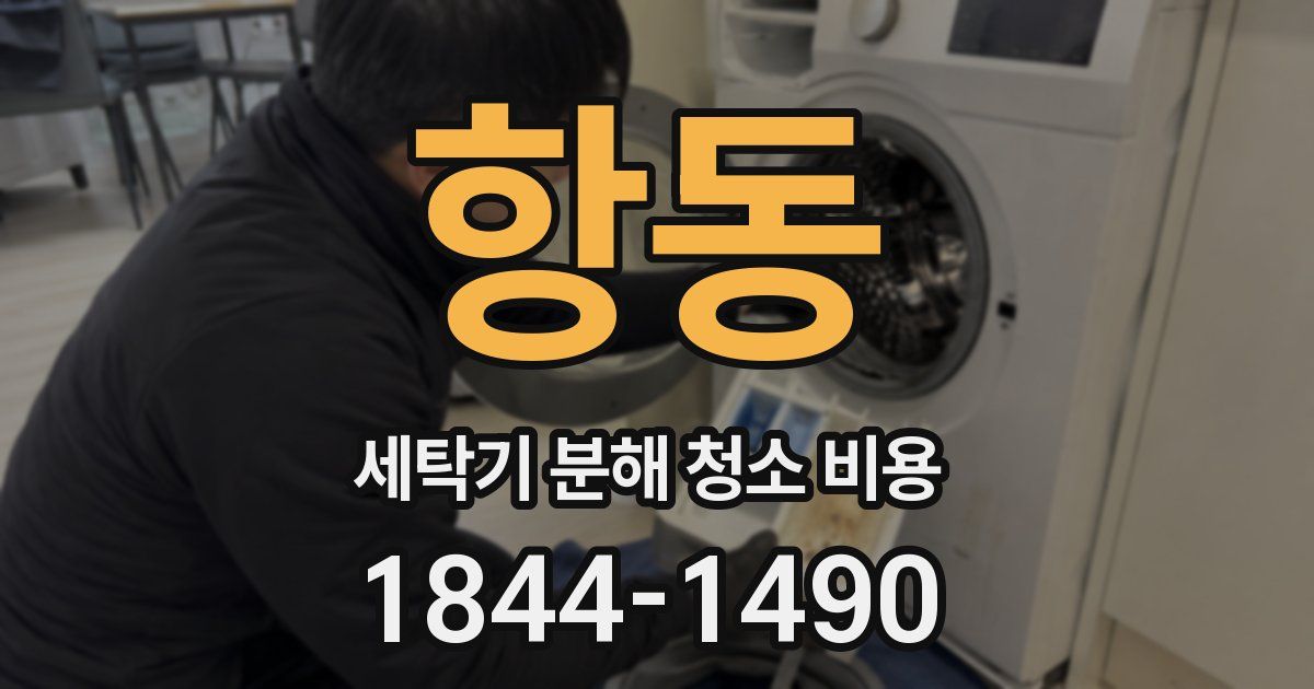 항동 세탁기 분해 청소 비용