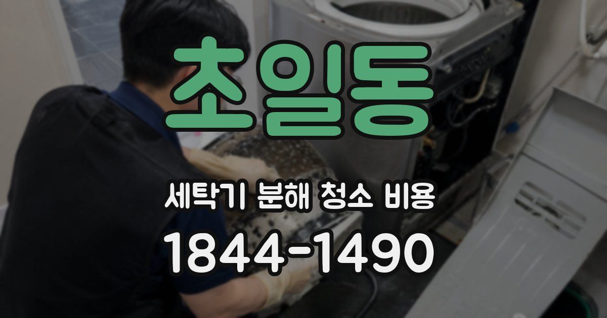 초일동 세탁기 분해 청소 비용