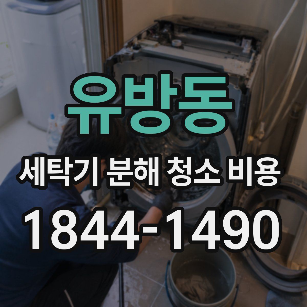 유방동 세탁기 분해 청소 비용