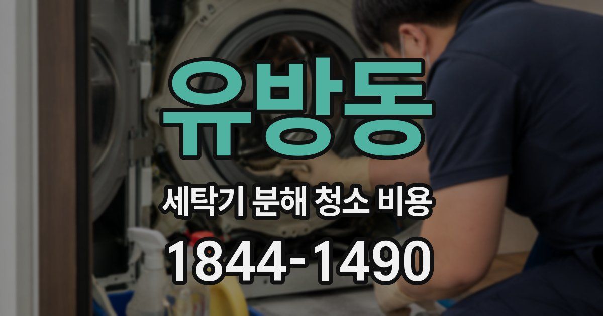 유방동 세탁기 분해 청소 비용