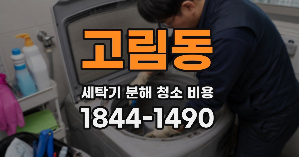 고림동 세탁기 분해 청소 비용