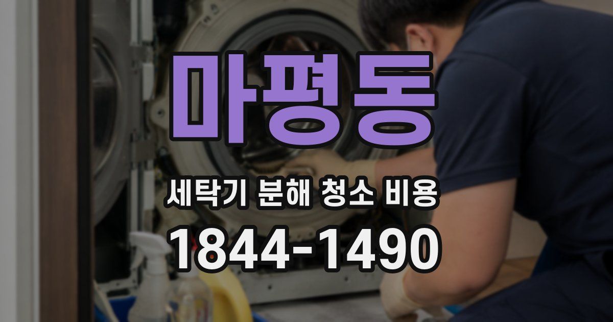 마평동 세탁기 분해 청소 비용