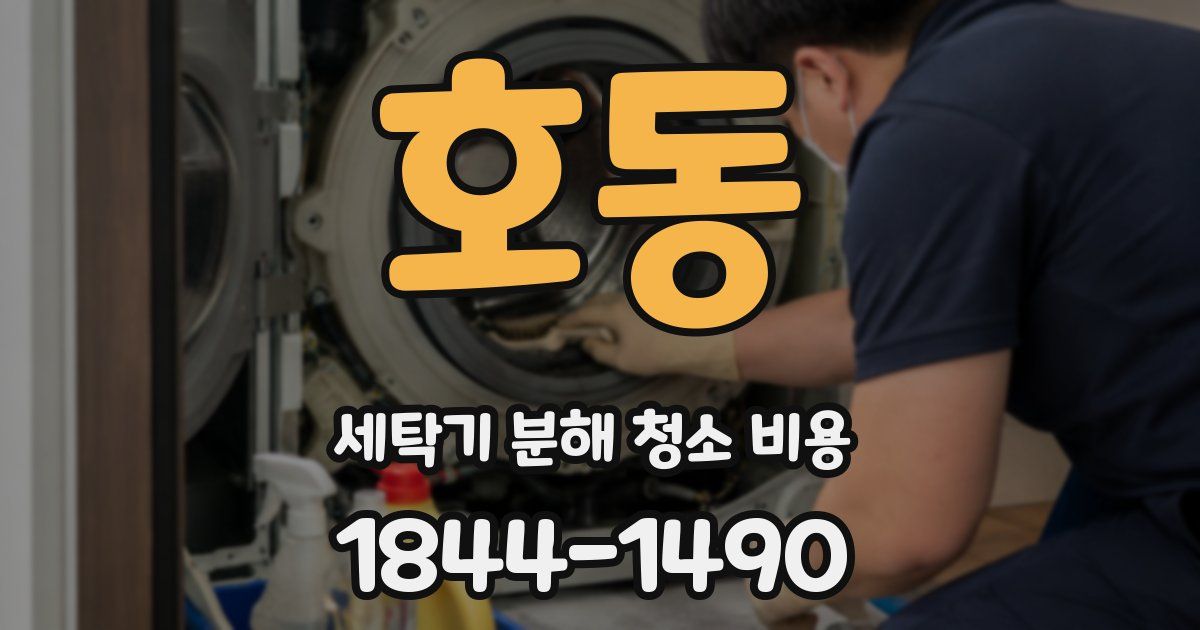 호동 세탁기 분해 청소 비용