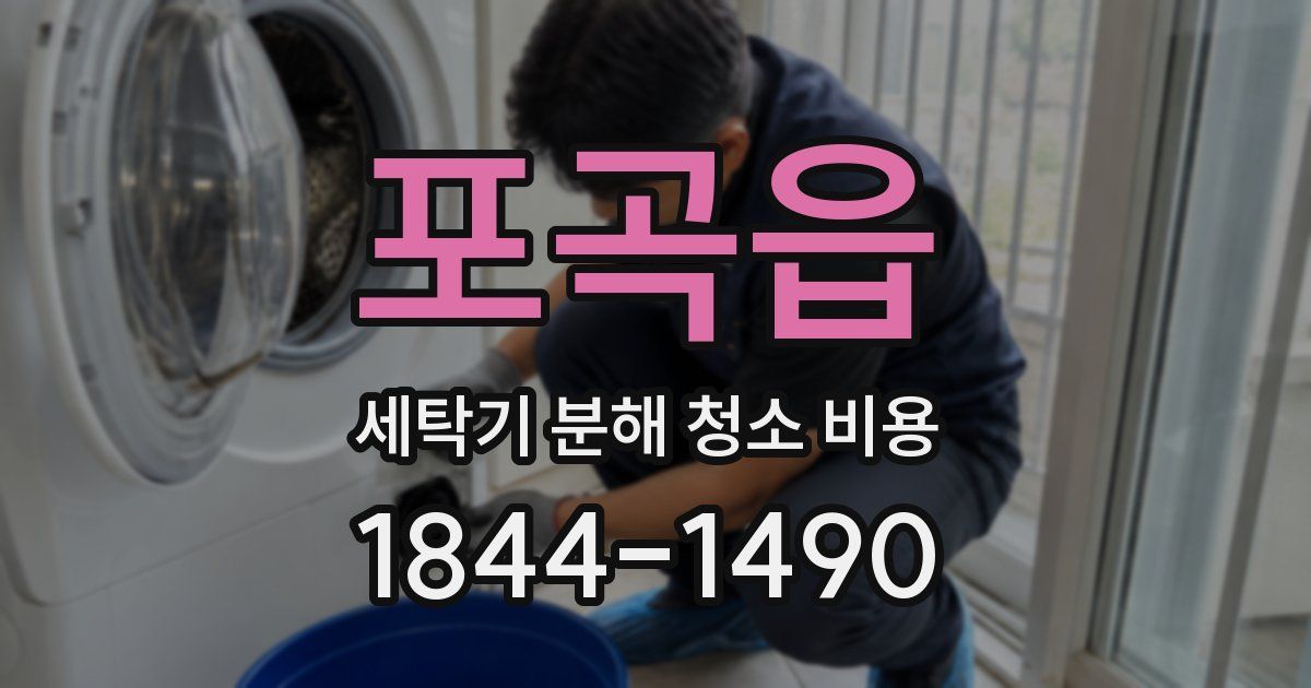 포곡읍 세탁기 분해 청소 비용