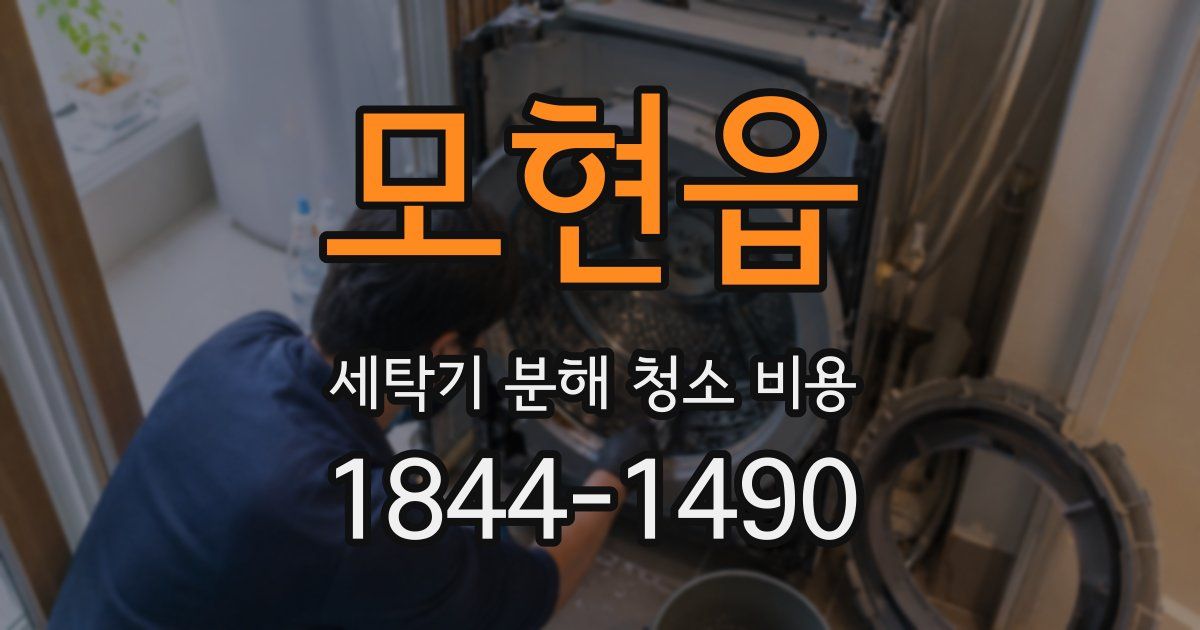 모현읍 세탁기 분해 청소 비용