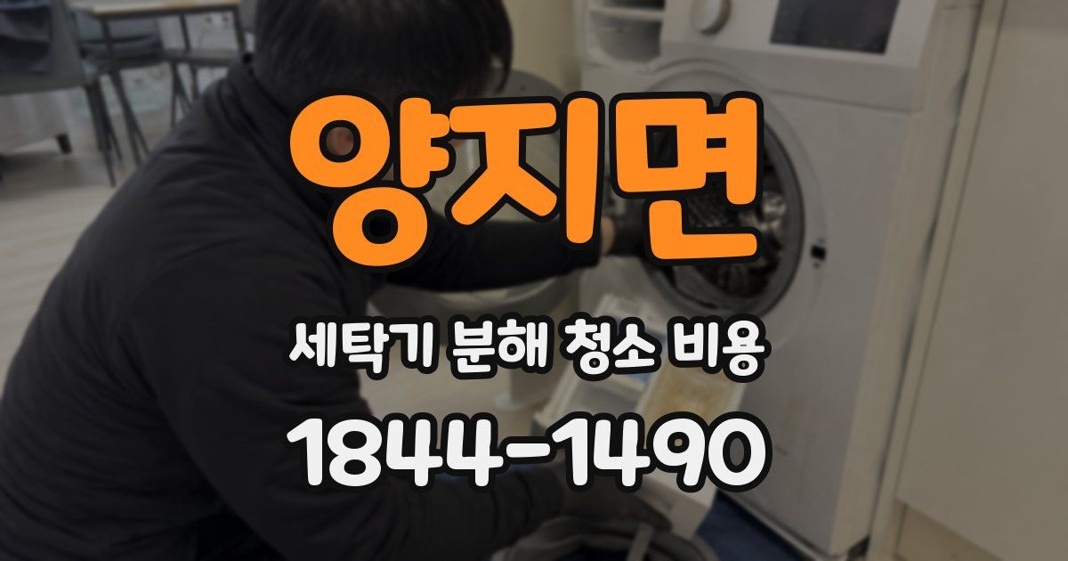 양지면 세탁기 분해 청소 비용