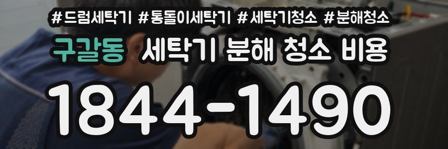 구갈동 세탁기 분해 청소 비용