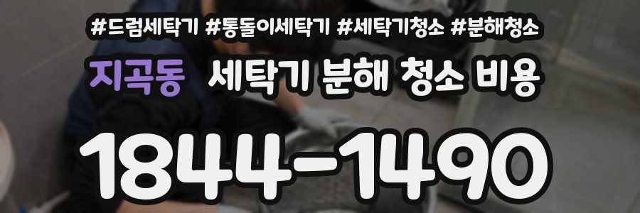 지곡동 세탁기 분해 청소 비용