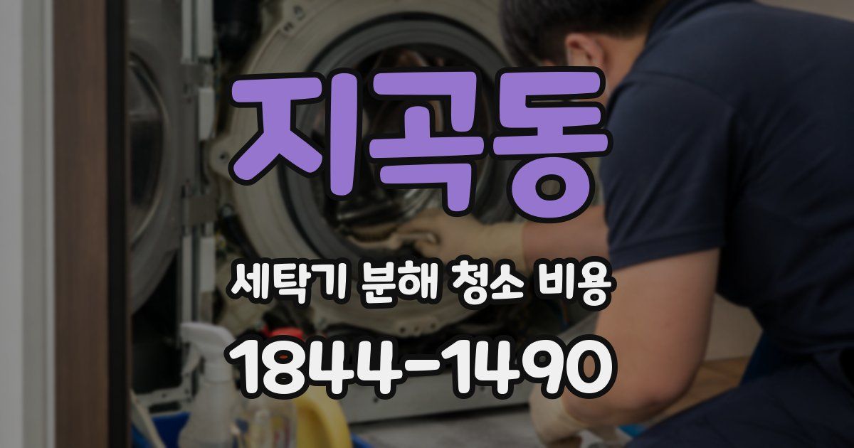 지곡동 세탁기 분해 청소 비용