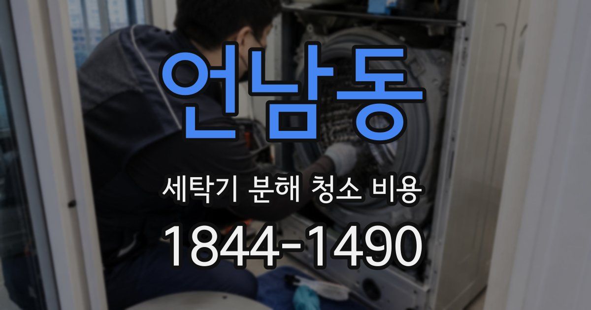 언남동 세탁기 분해 청소 비용