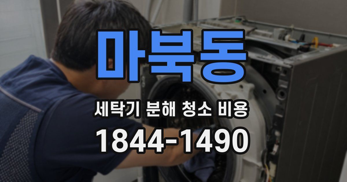 마북동 세탁기 분해 청소 비용