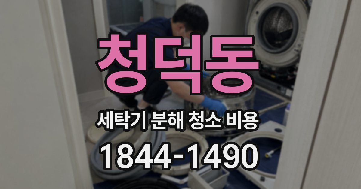청덕동 세탁기 분해 청소 비용