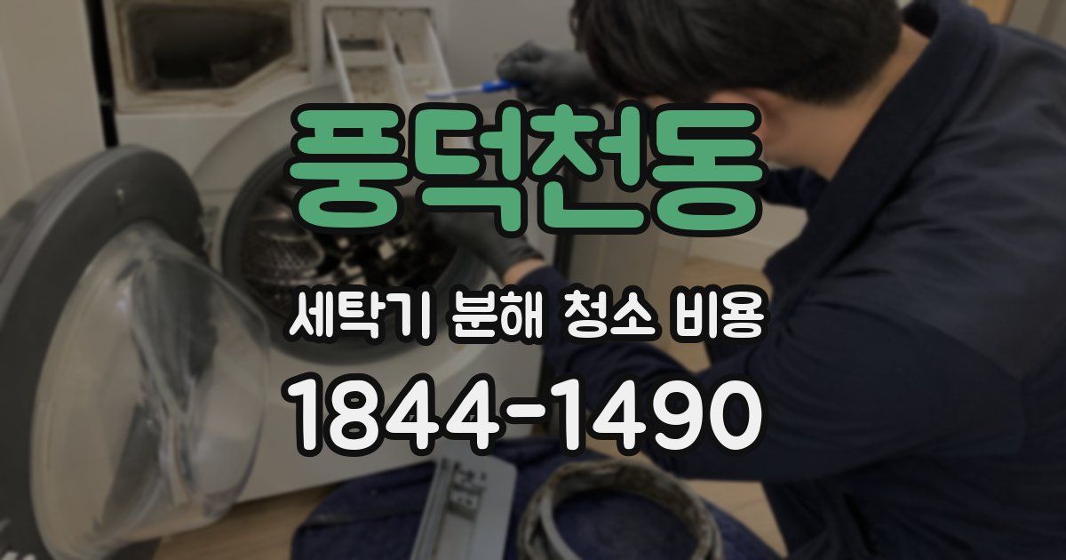풍덕천동 세탁기 분해 청소 비용