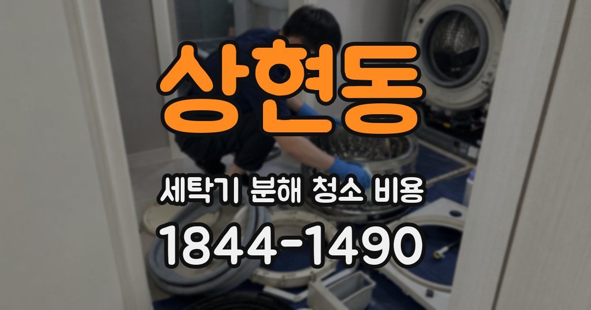 상현동 세탁기 분해 청소 비용