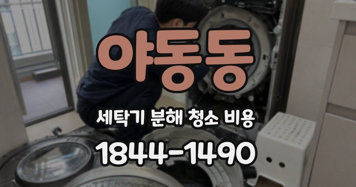 야동동 세탁기 분해 청소 비용