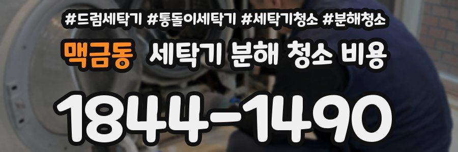 맥금동 세탁기 분해 청소 비용