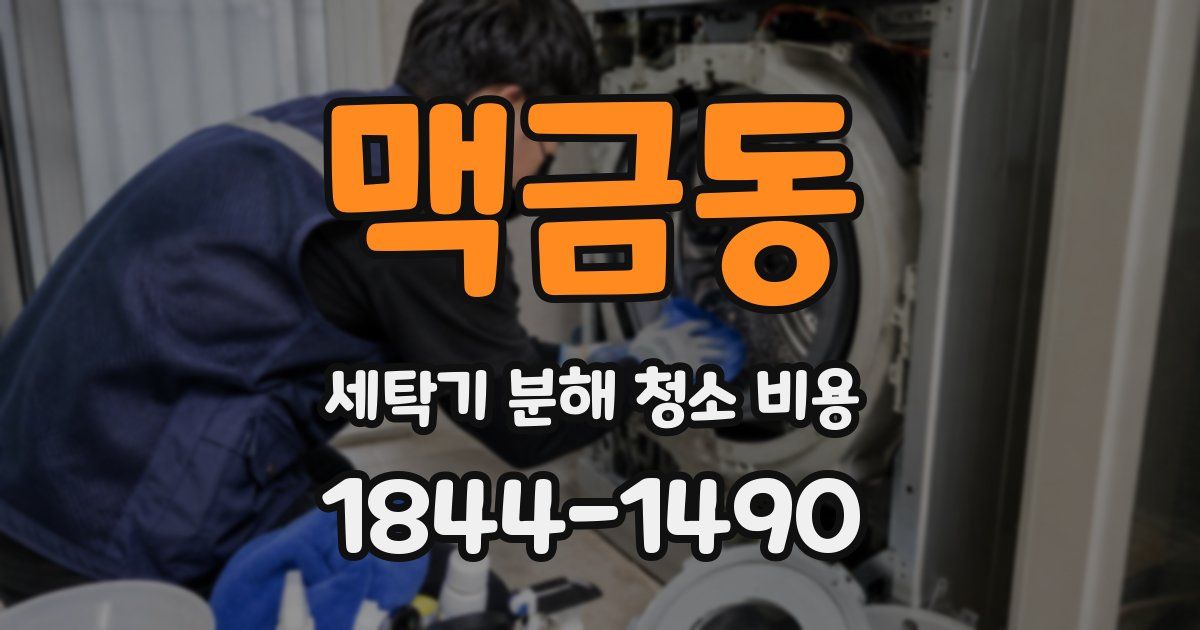 맥금동 세탁기 분해 청소 비용