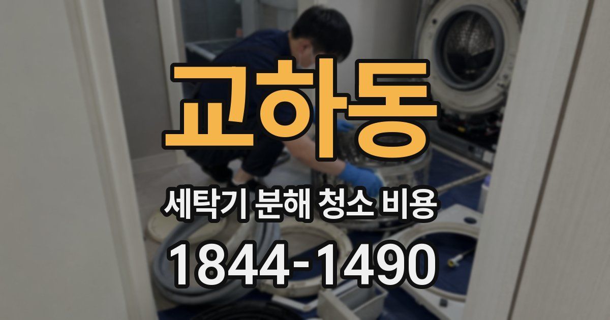 교하동 세탁기 분해 청소 비용