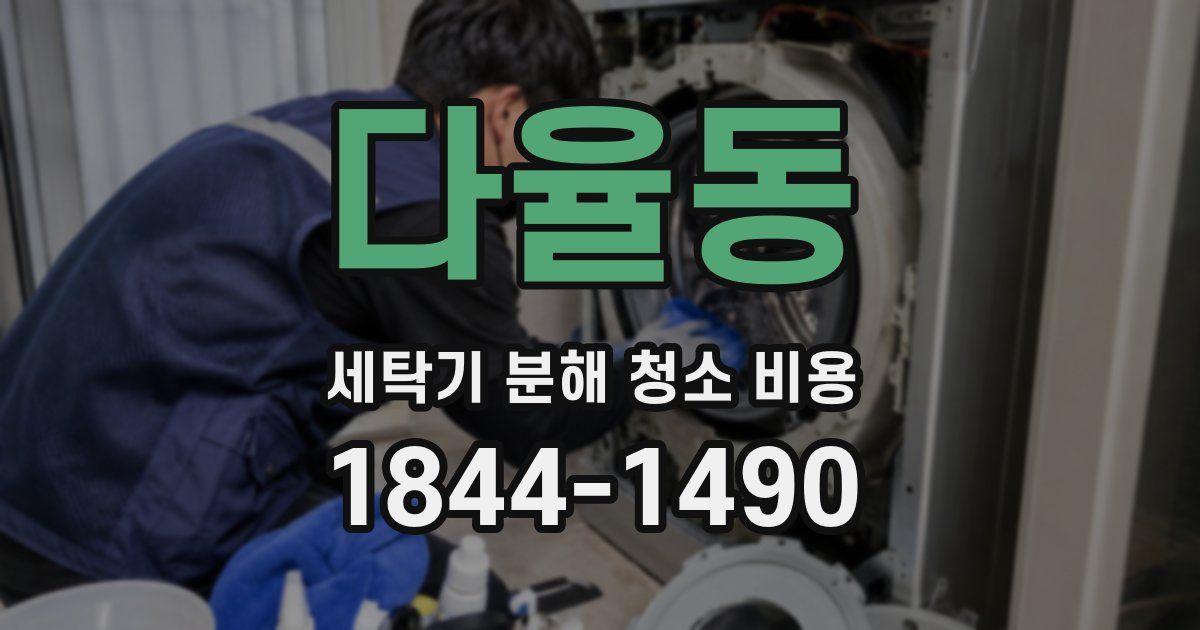 다율동 세탁기 분해 청소 비용