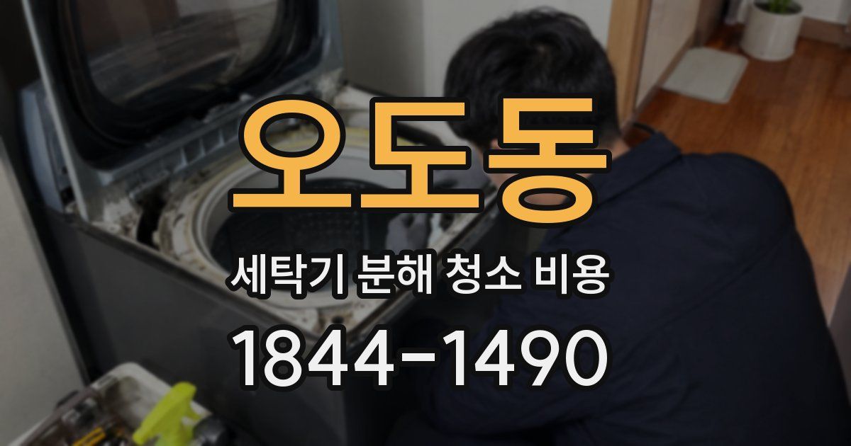 오도동 세탁기 분해 청소 비용