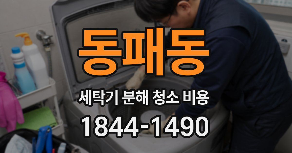 동패동 세탁기 분해 청소 비용