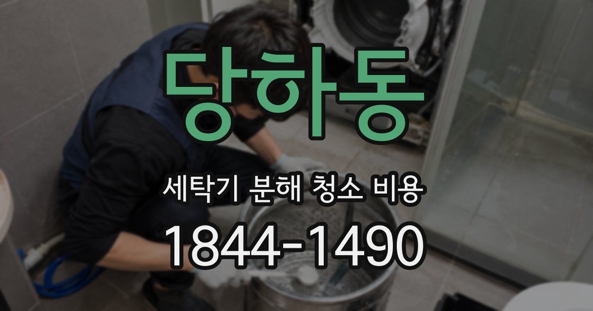 당하동 세탁기 분해 청소 비용