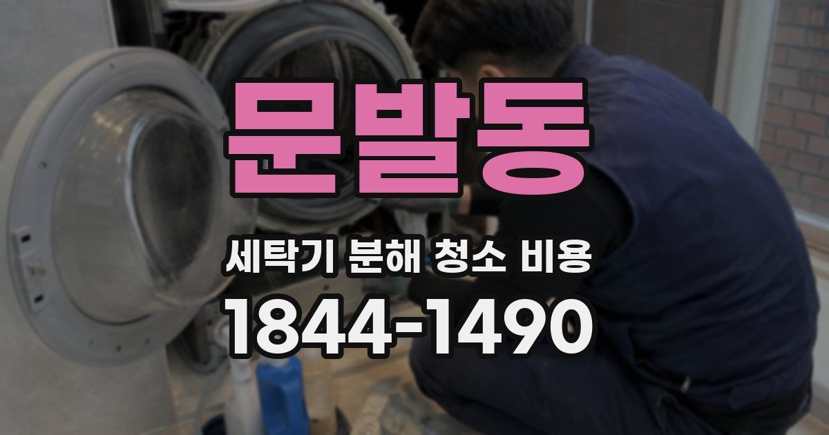 문발동 세탁기 분해 청소 비용