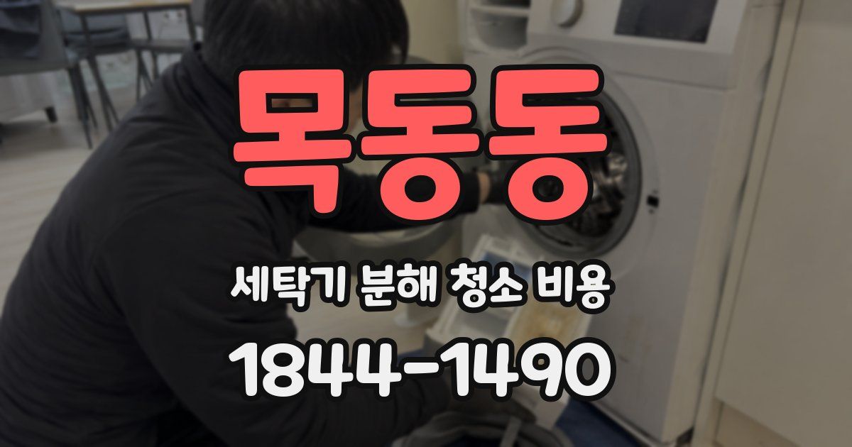 목동동 세탁기 분해 청소 비용