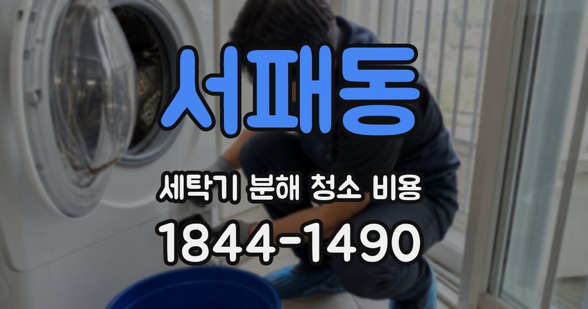 서패동 세탁기 분해 청소 비용