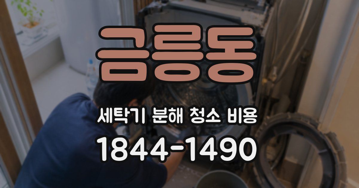 금릉동 세탁기 분해 청소 비용