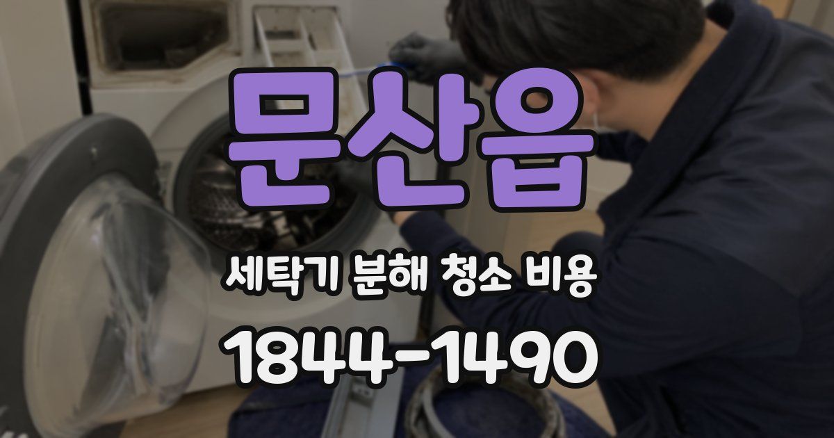 문산읍 세탁기 분해 청소 비용
