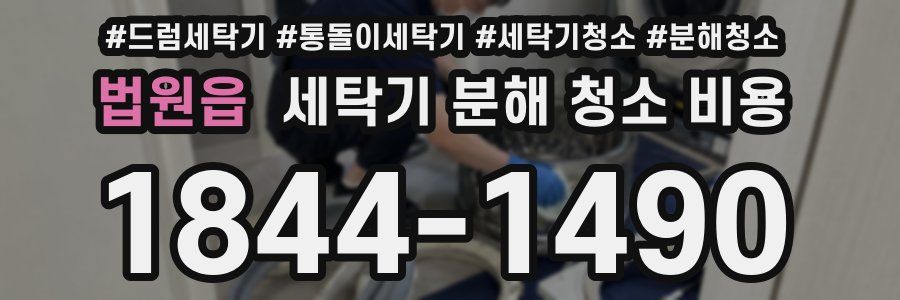 법원읍 세탁기 분해 청소 비용