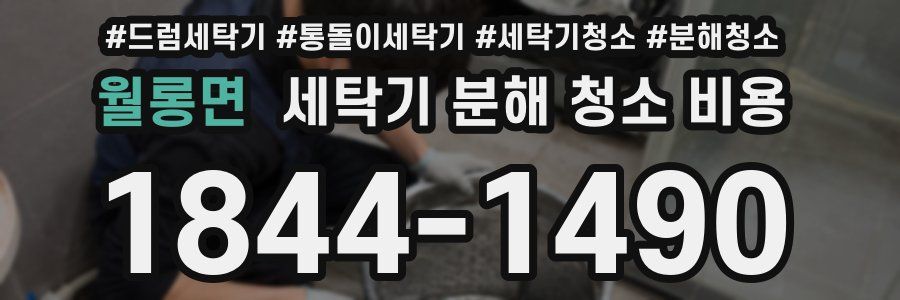 월롱면 세탁기 분해 청소 비용