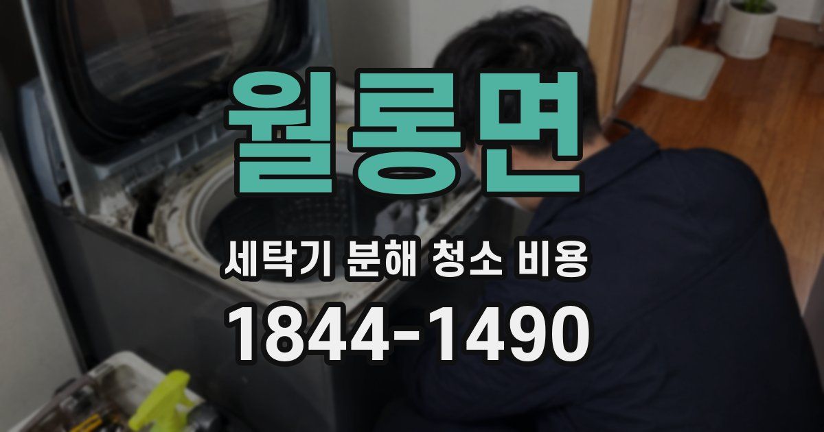 월롱면 세탁기 분해 청소 비용