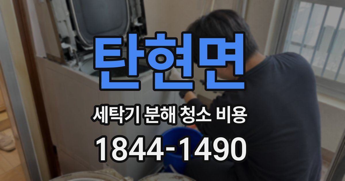 탄현면 세탁기 분해 청소 비용