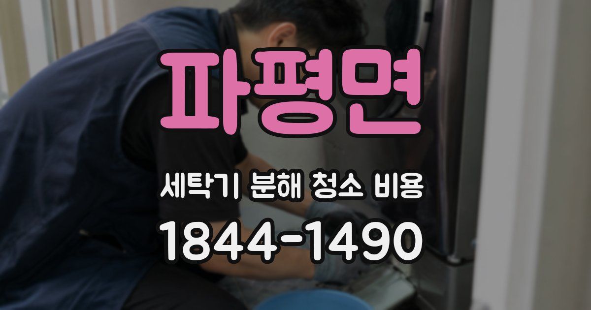 파평면 세탁기 분해 청소 비용