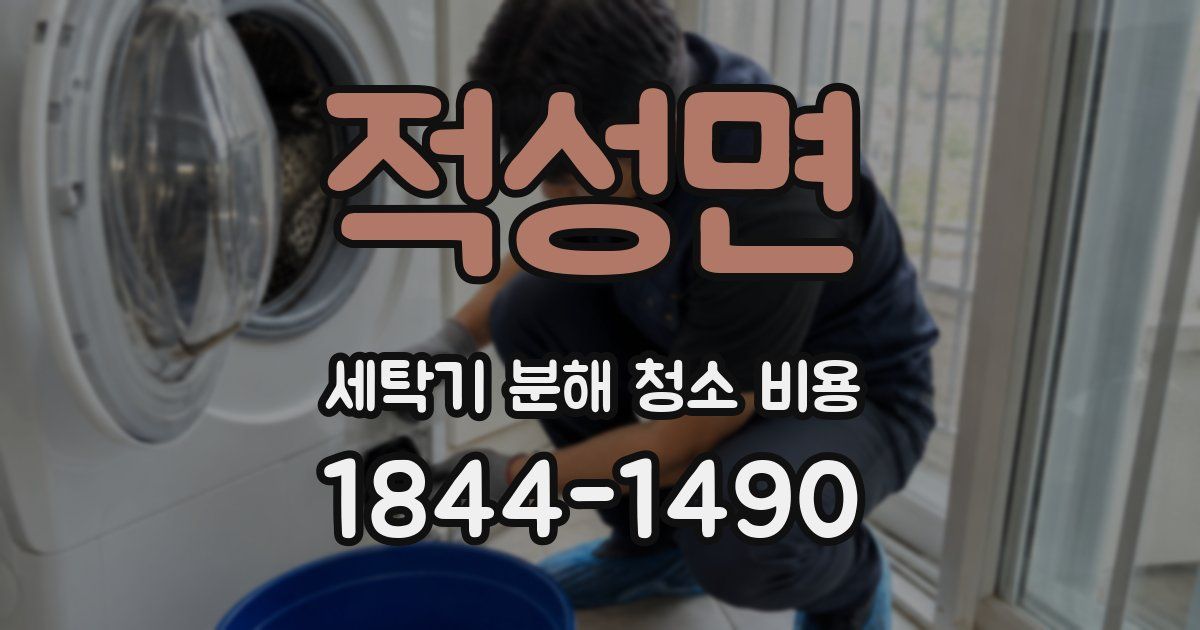 적성면 세탁기 분해 청소 비용
