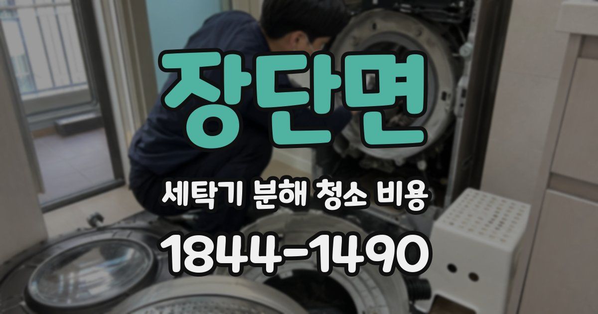 장단면 세탁기 분해 청소 비용