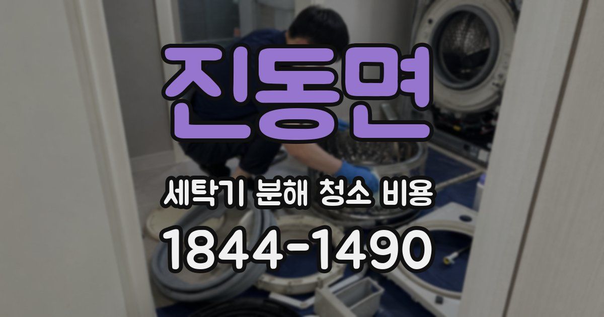 진동면 세탁기 분해 청소 비용